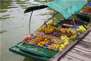 2026 Vijetnam - velika tura i odmor