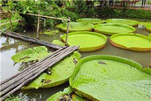 2026 Vijetnam - velika tura i odmor