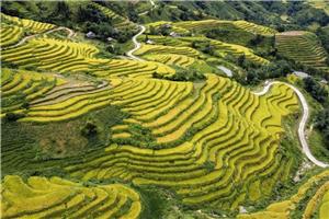 2026 Vijetnam - velika tura i odmor