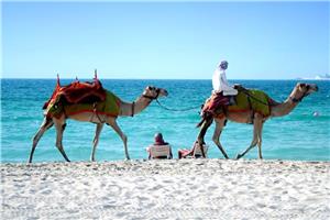 2026 Veličanstveni Dubai i Abu Dhabi